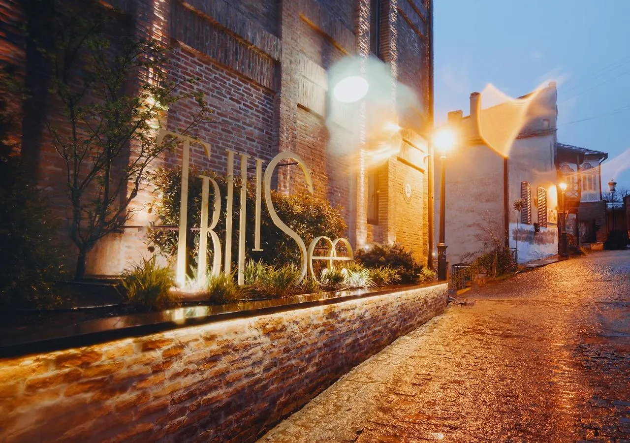 Tbilisee Hotel Tbilisi